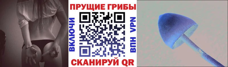 Псилоцибиновые грибы мухоморы  Купить где  Бобров 
